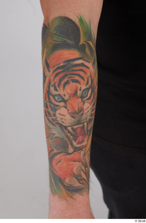 Photos of Fukuyama Bakin arm tatoo 0003.jpg